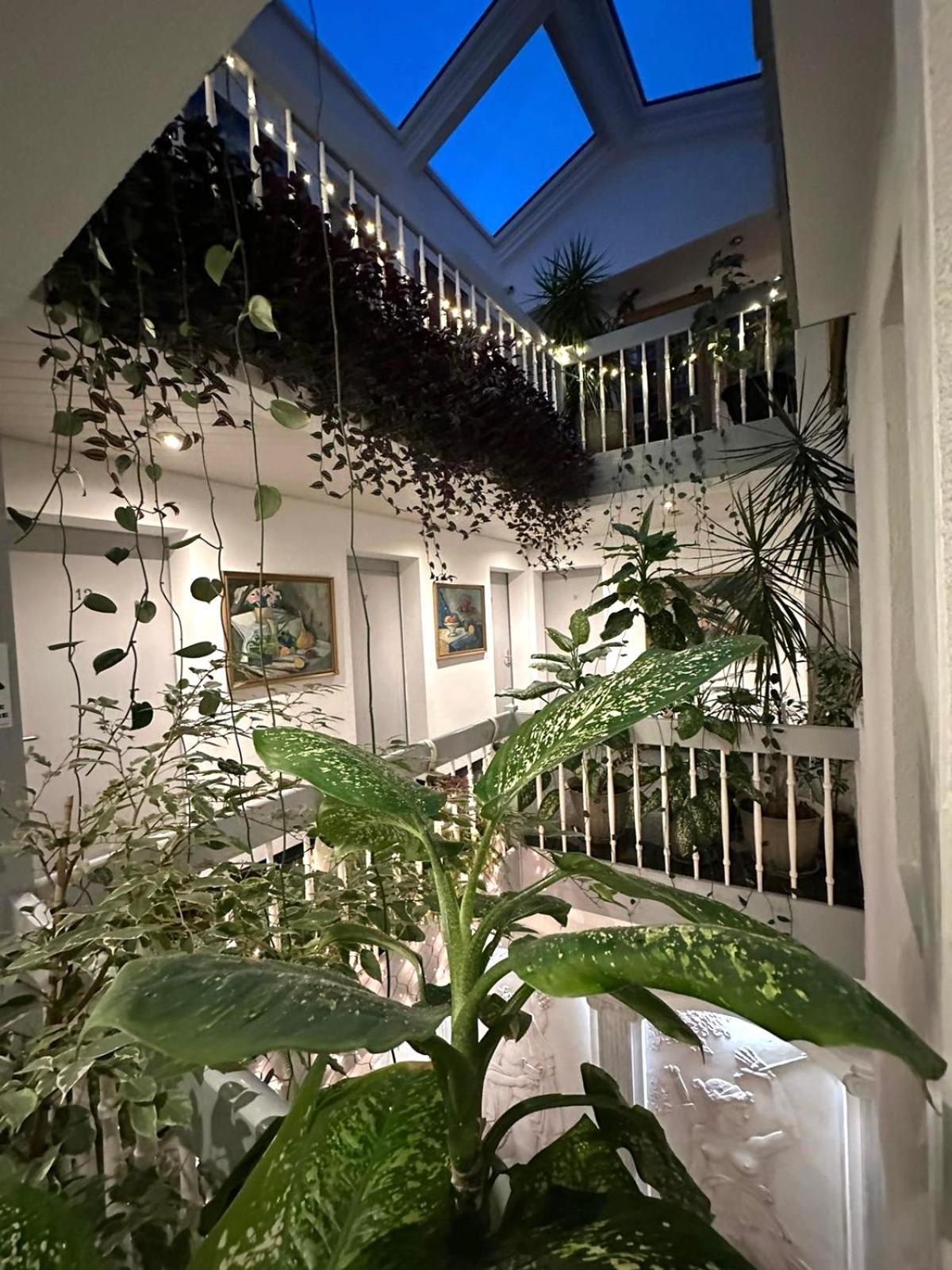 Villa Helvetia Târgu-Mureş Esterno foto
