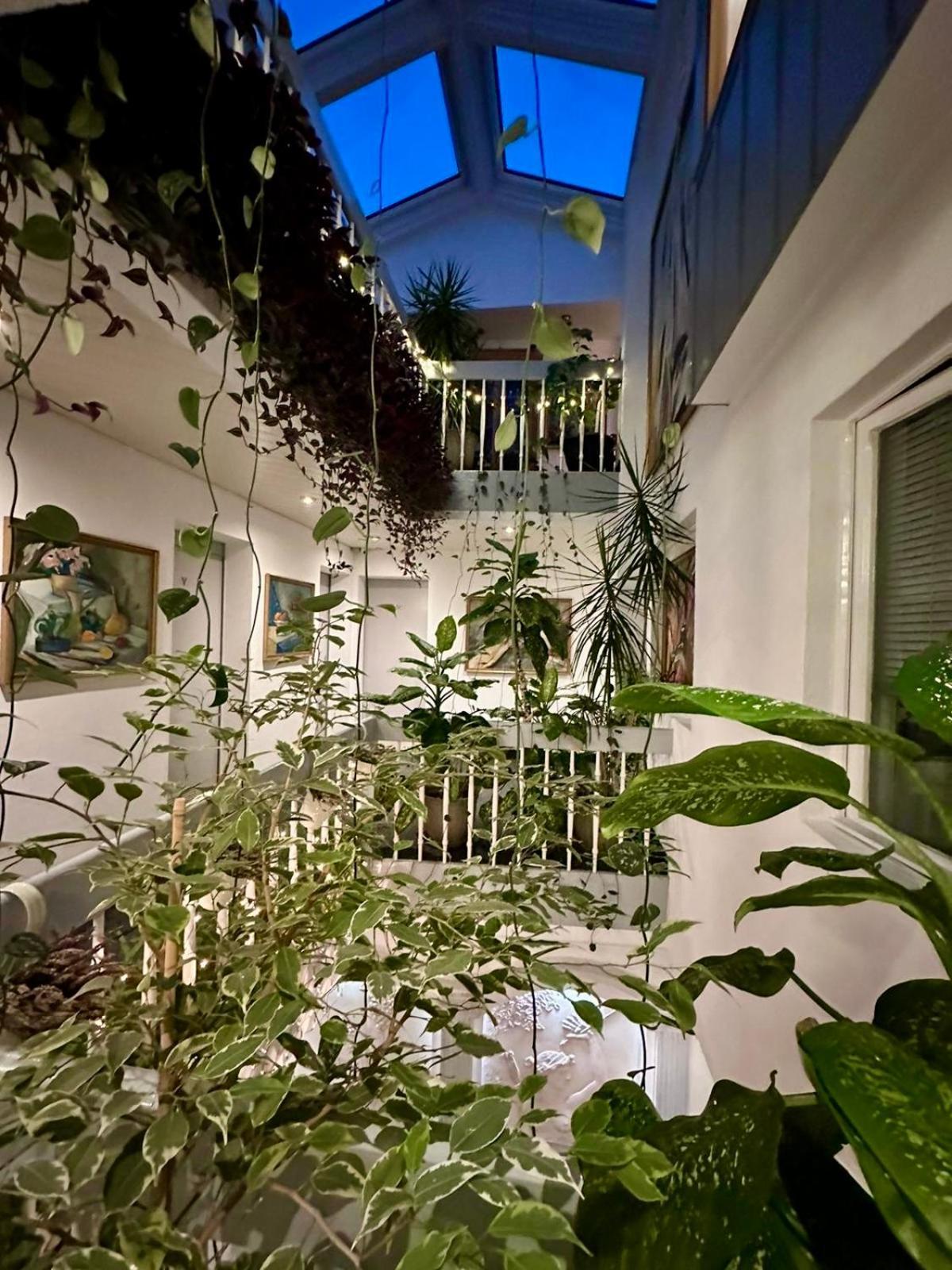 Villa Helvetia Târgu-Mureş Esterno foto